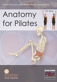 Anatomy for Pilates